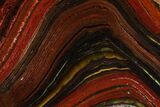 Polished Tiger Iron Stromatolite Slab - Billion Years #185913-1